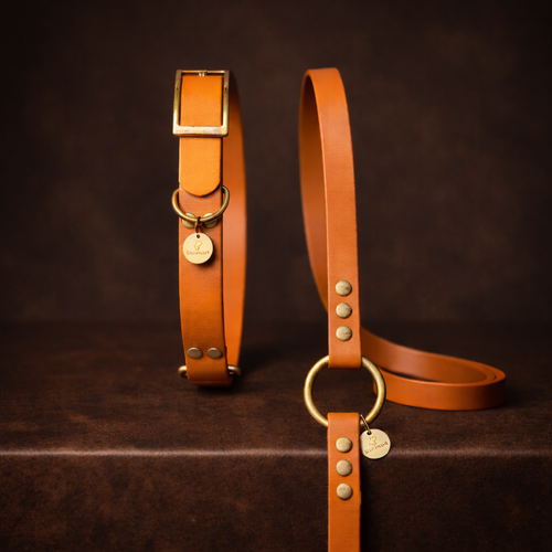 Collier et laisse pour chien en BioThane®, fabrication artisanale française