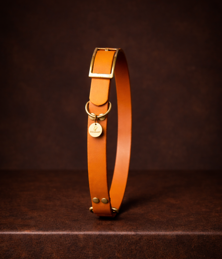 Collier pour chien en BioThane®, fabrication artisanale française