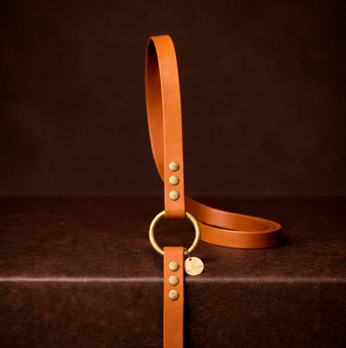 Laisse pour chien en BioThane®, fabrication artisanale française
