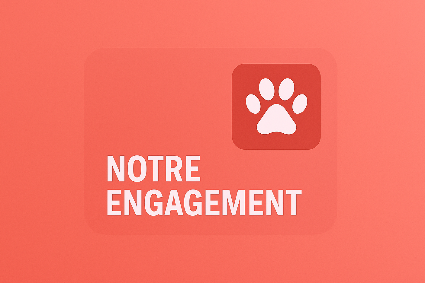 ChoupiPatte – Boutique solidaire pour animaux, accessoires chiens et chats – 50 % des bénéfices reversés