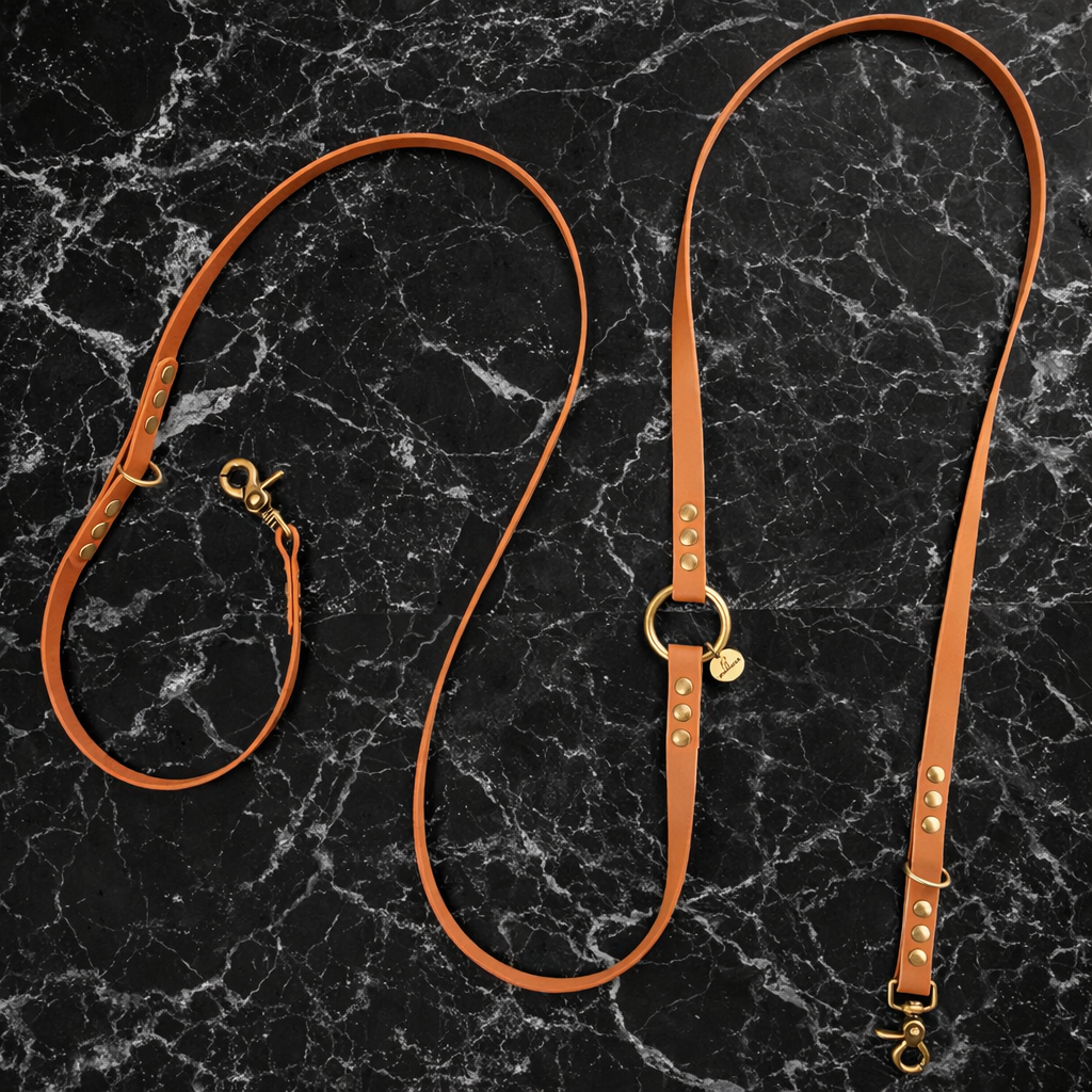 Laisse multiposition pour chien en BioThane marron, présentée dépliée sur un fond en marbre noir luxueux