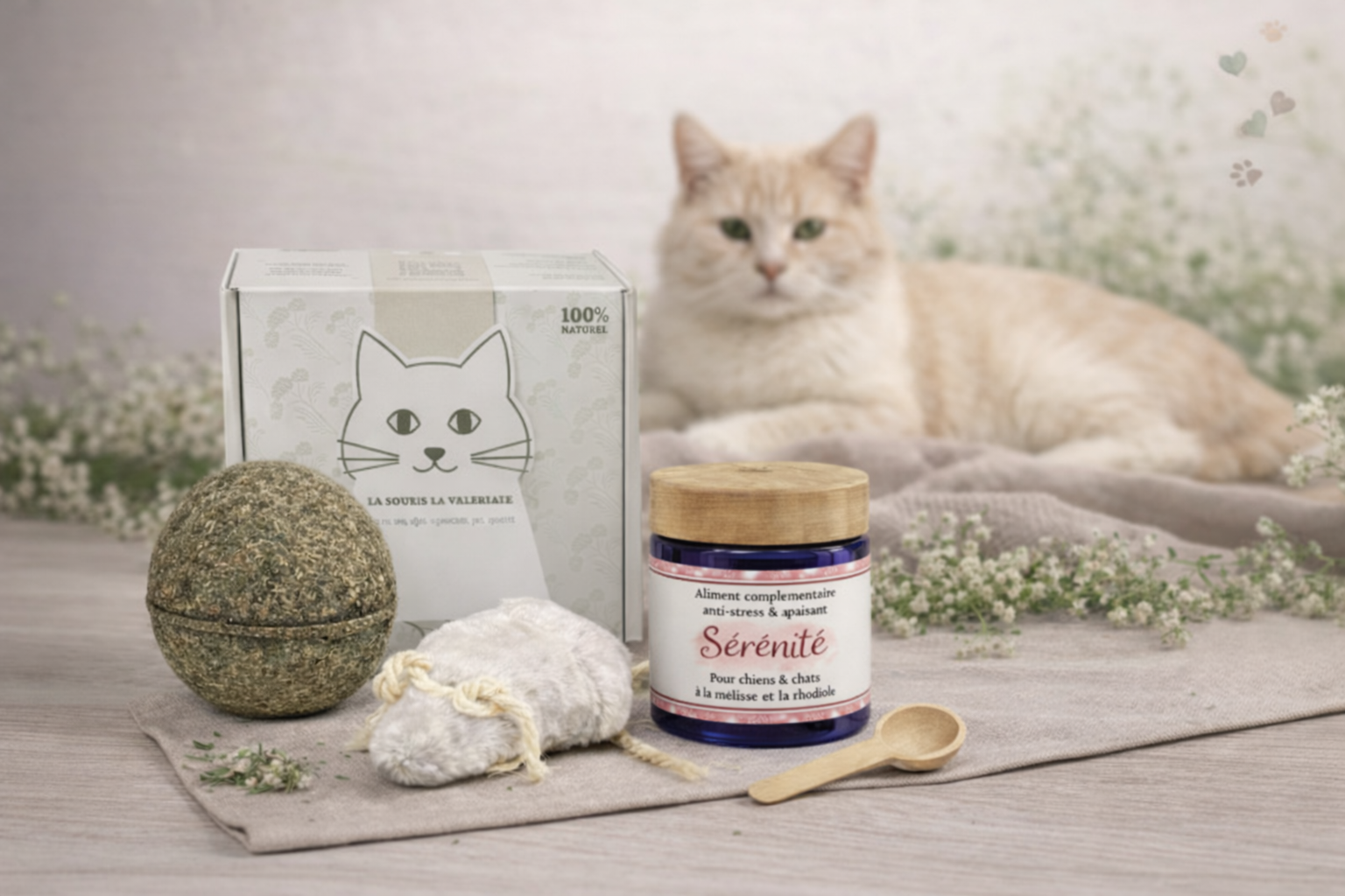 Pack Sérénité féline avec complément alimentaire apaisant, souris à la valériane et boule d'herbe, présenté devant un chat calme allongé